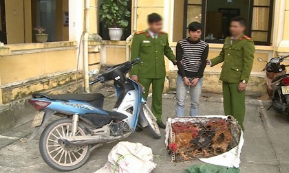 Đối tượng truy nã, gây ra 150 vụ trộm cắp tài sản sa lưới