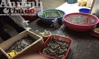 Hà Nội: Phát hiện một cơ sở bơm tạp chất vào tôm
