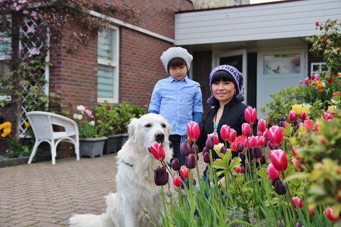 vuon hoa tulip dep nhu tranh va 