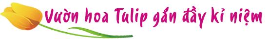 vuon hoa tulip dep nhu tranh va 
