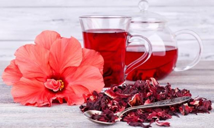 Lợi ích sức khỏe và làm đẹp tóc của hoa dâm bụt