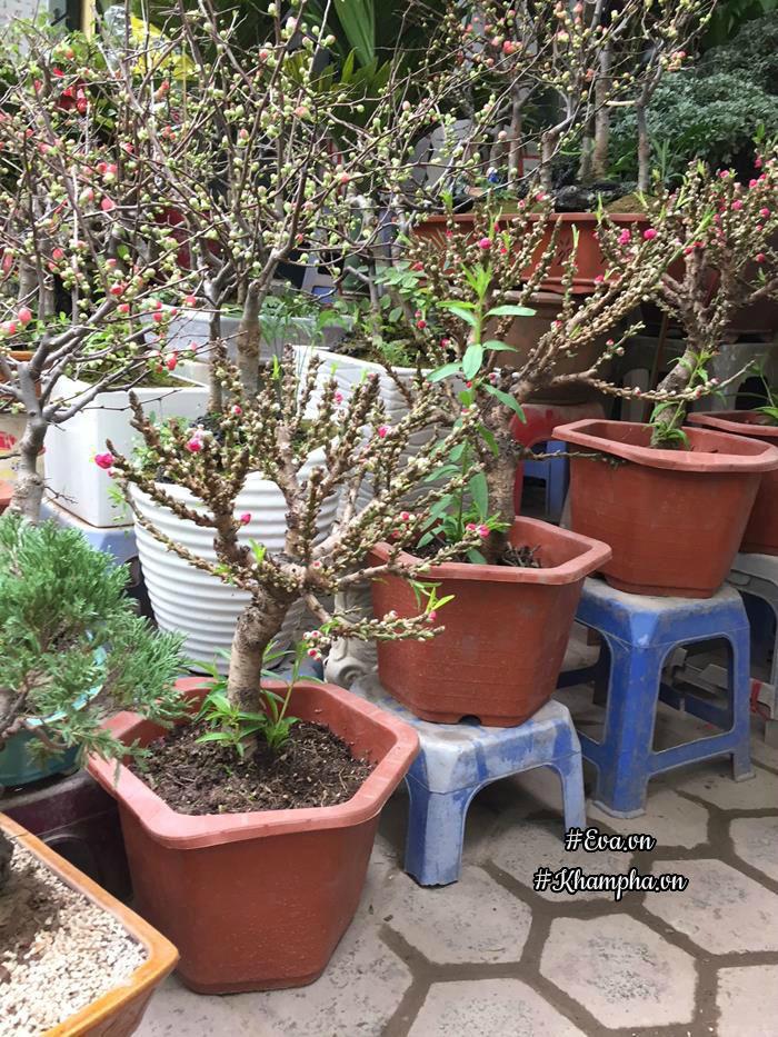 dao that thon tien vua ban 