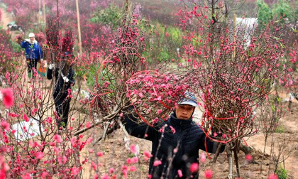 Thông tin mới nhất thời tiết cả nước dịp Tết nguyên đán Mậu Tuất 2018