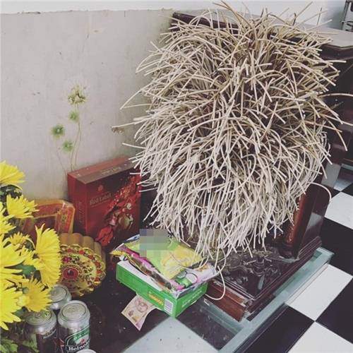 nen hay khong rut tia chan huong: bat huong cang day, gia chu cang... it loc, lam han - 2