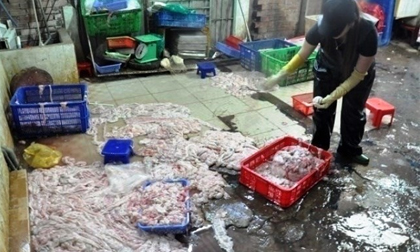 Thực phẩm Tết: Hết hồn chả lụa, giò thủ làm từ thịt bẩn ào ra chợ