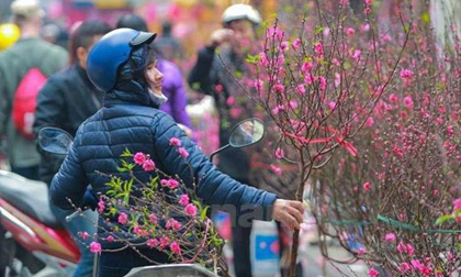 Thời tiết cả 3 miền từ nay đến mùng 5 Tết Mậu Tuất 2018 có gì đặc biệt?