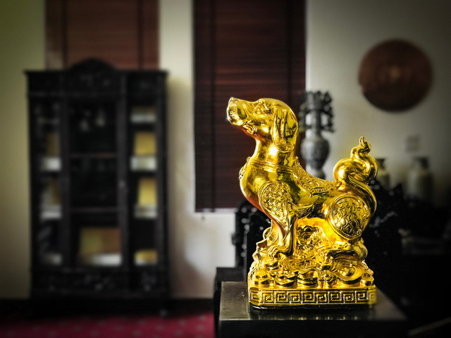 tet mau tuat, co nen cung thit cho de lay may? hinh anh 1