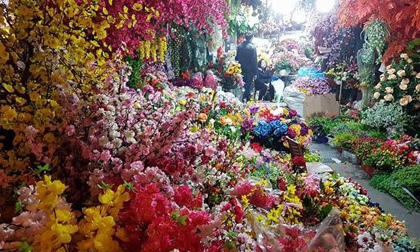 Chợ hoa Hàng Lược rực rỡ muôn màu, chưa đi là chưa thấy Tết Hà Nội