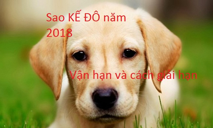 Những tuổi nào bị sao Kế Đô chiếu mạng năm 2018 và lễ cúng giải hạn đúng cách nhất?