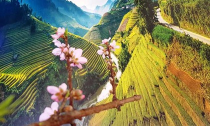 Ảnh: Du xuân trên cung đường Mù Cang Chải