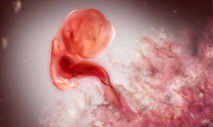 Muốn con sinh ra thông minh, mẹ nhất định phải ăn 9 loại 'siêu thực phẩm' này!