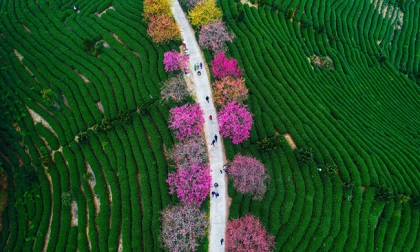 Loạt ảnh du lịch đẹp mãn nhãn, xem xong chỉ muốn xách ba lô lên và đi