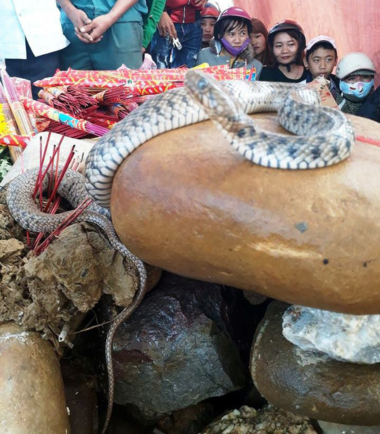 Tin mới về cặp “rắn thần” nằm trên ngôi mộ vô danh - 1