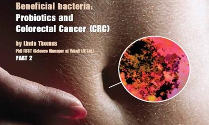 Phát hiện vi khuẩn trên da có thể bảo vệ cơ thể khỏi bệnh ung thư