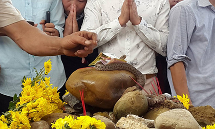 Bắt con rắn nước ở ngôi mộ vô danh khiến nghìn người tụ tập cúng bái