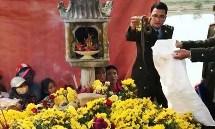 Sau nửa ngày tạm giữ, rắn nằm trên mộ được thả về tự nhiên