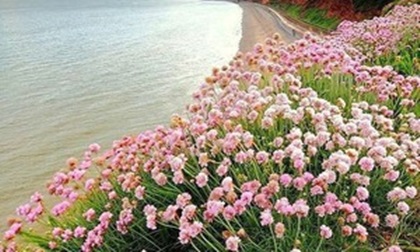 Bí kíp cho 12 cung Hoàng đạo để sống sót qua tuần lễ sóng gió