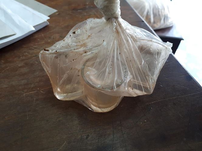 Vụ uống rượu thuốc 3 người tử vong: Nghi rượu ngâm nhầm cây lá ngón - 2