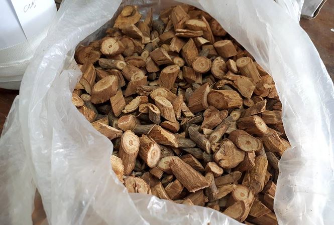 Vụ uống rượu thuốc 3 người tử vong: Nghi rượu ngâm nhầm cây lá ngón - 1