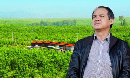 Bầu Đức nhận gán nợ gần 2.500 tỷ bằng dự án nông nghiệp tại Lào