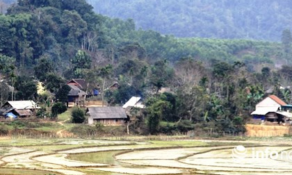 Nghệ An: Nhờ thầy lang phá thai bằng que nứa, thai phụ tử vong tức tưởi