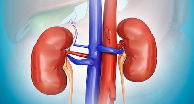 Tác dụng phụ của “con dao hai lưỡi” kháng sinh mà nhiều người không thể ngờ - 6