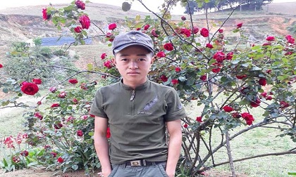 Vụ mất trộm cây hồng cổ 30 triệu đồng: Công an ráo riết truy tìm thủ phạm