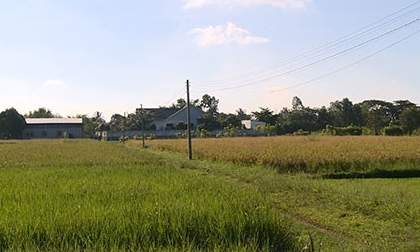 Bí mật động trời trong căn biệt thự giữa đồng vắng ở Long An