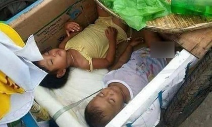 Câu chuyện xúc động về hai đứa trẻ ngủ ngon trong thùng xe hoa quả của mẹ
