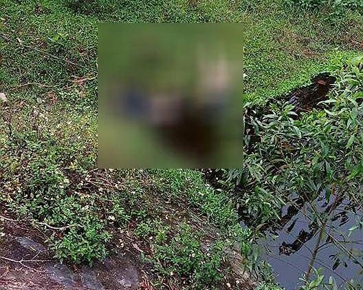 Phat hien thi the 2 thanh nien duoi chan cau hinh anh 1
