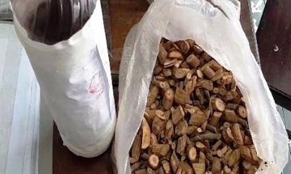3 người trong gia đình tử vong vì ngộ độc rượu: Rượu được ngâm từ lá ngón