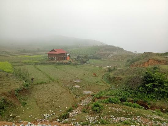 loi ke dau nhoi long cua chang trai dan toc thai bi trom cay hong co 20 nam tuoi - 1