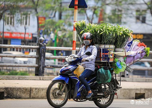 ha noi: hoa loa ken e ap xuong pho chao he - 2