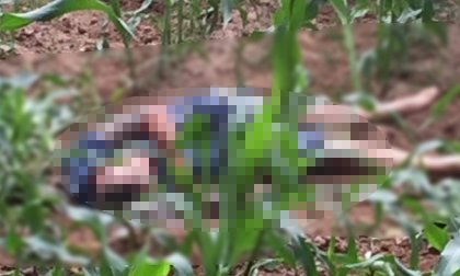 Vụ nam thanh niên bị chém chết tại bãi ngô: Nghi phạm đã ra đầu thú