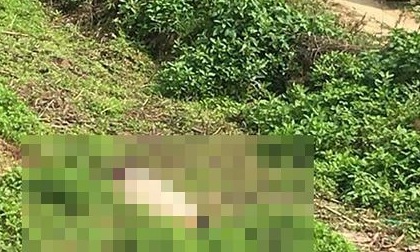 Nam thanh niên tử vong ngay sau khi cãi nhau với người tình của mẹ