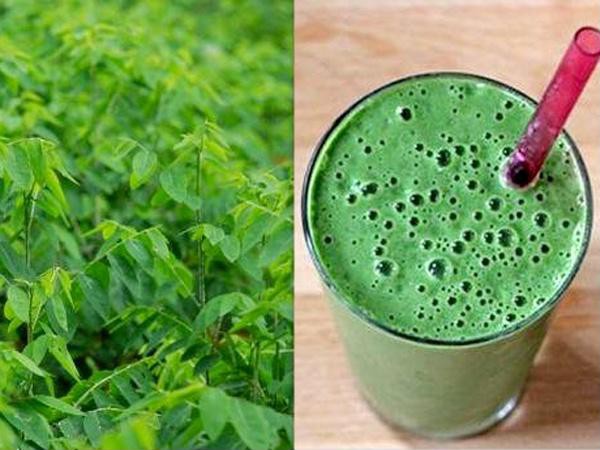 Đông y chỉ ra một loạt bài thuốc chữa bệnh từ rau ngót cực hay cực dễ áp dụng - Ảnh 5. Đông y chỉ ra một loạt bài thuốc chữa bệnh từ rau ngót cực hay cực dễ áp dụng - Ảnh 5.