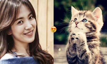 4 con giáp gặp đại quý nhân may mắn cát tường nhất trong năm 2018