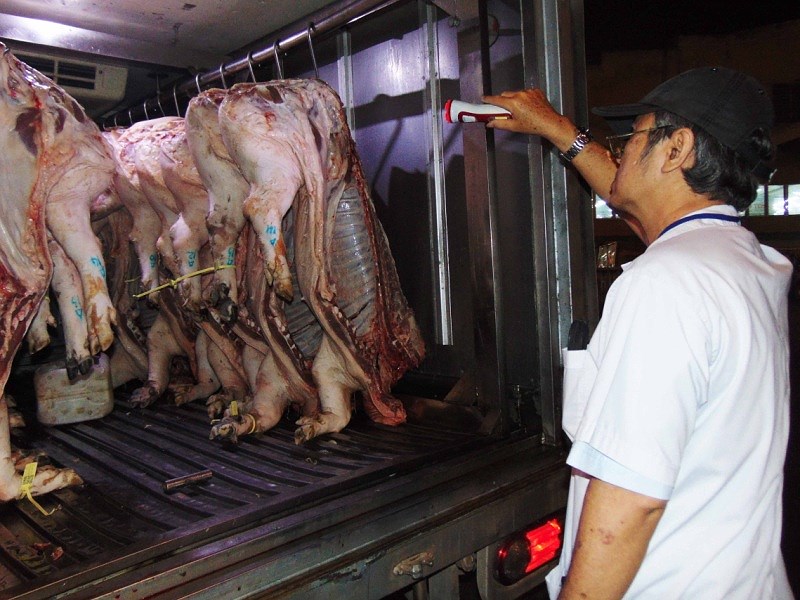 Báo động thịt heo dính thuốc an thần vào TP.HCM - ảnh 1