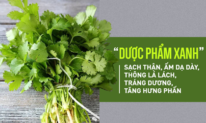 Loại rau thơm có thể chữa bệnh thận, gan và nội tạng bán đầy ngoài chợ