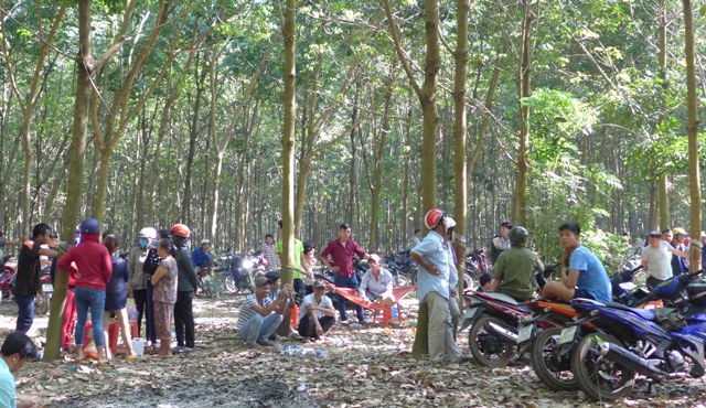 Cô gái cùng người tình bị nhóm người bắt vào rừng đánh đập, cắt tai - 1