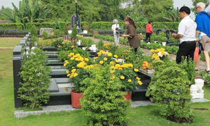 Tiết Thanh Minh đi tảo mộ nên chọn loại hoa nào để không phạm cấm kị?