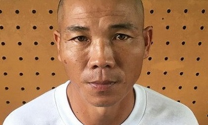 Khởi tố kẻ giết người vì đàn bò ăn lúa trong ruộng của mình
