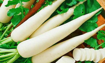 Những thực phẩm có chất độc tự nhiên - lưu ý khi chế biến