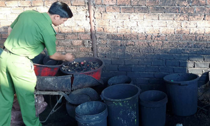 Kinh hoàng cà phê tẩm nhuộm chất độc từ viên pin
