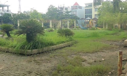 Truy bắt nhóm đối tượng đâm chết người trong công viên