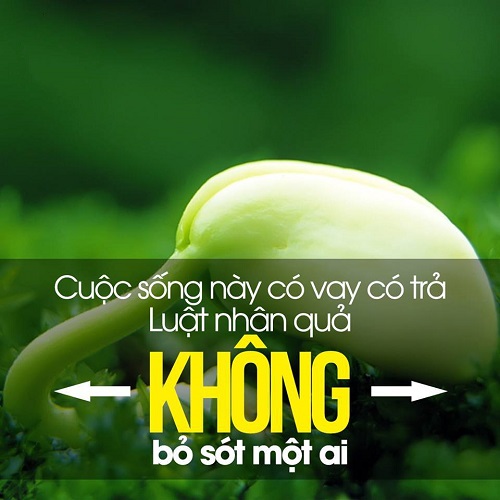 luat-nhan-qua-khong-thien-vi-hay-bo-sot-mot-ai