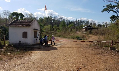 Vẽ lại cung đường gỗ lậu Phượng 'râu'