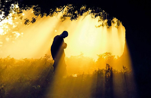 Loi-Phat-day-ve-cuoc-song-Dung-coi-thuong-ai-ca-hinh-anh-2