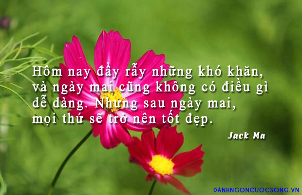 danh-ngon-cuoc-song-219