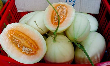 Dưa lê ruột vàng như bí ngô: Đặc sản lạ đích thị hàng Tàu